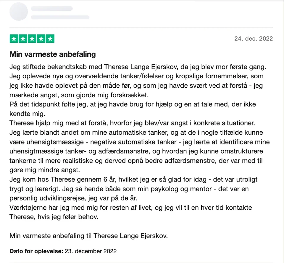 Trustpilot-anmeldelse med fem stjerner fra december 2022. Anmelderens navn er skjult.