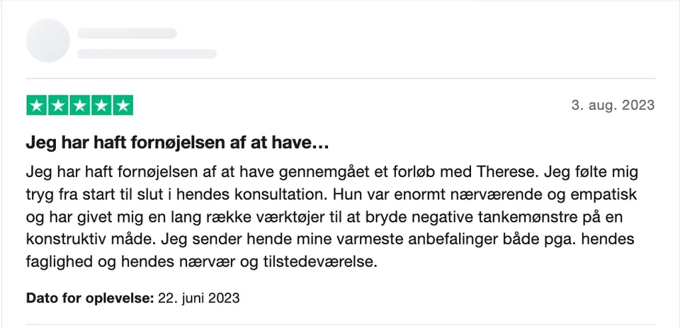 Trustpilot-anmeldelse med fem stjerner fra august 2023. Anmelderens navn er skjult.